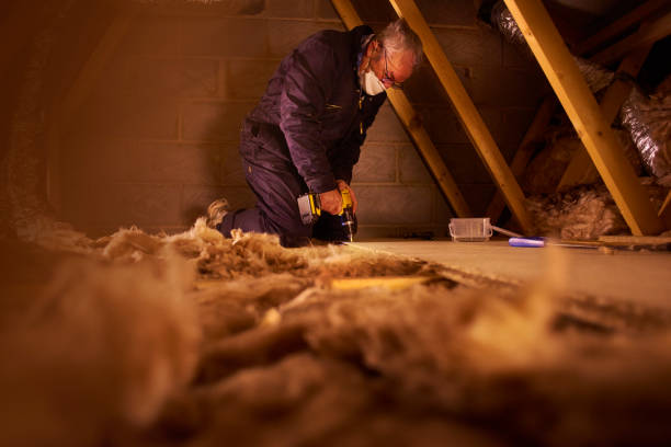 Best Blown-In Insulation  in Iceville, AL